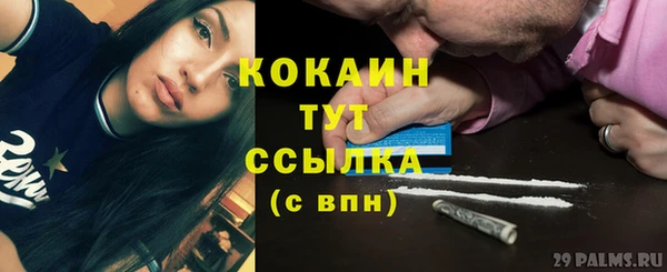 сатива Карталы