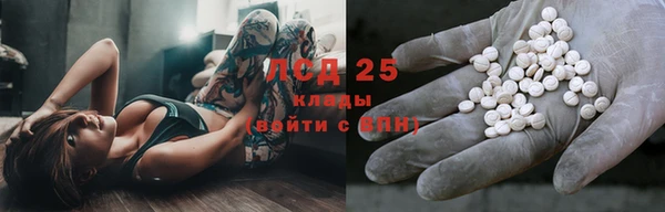 трава Карпинск