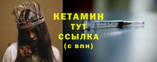 трава Карпинск