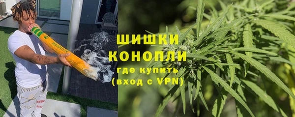 трава Карпинск