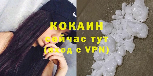 трава Карпинск