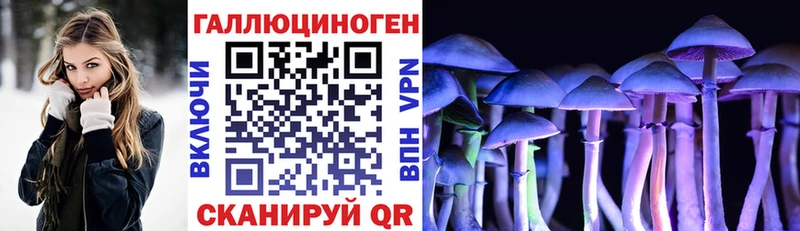 Псилоцибиновые грибы Cubensis  Купить  Энгельс 